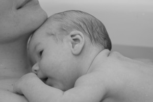 A Special Bond between mother and child - 't Loo, The Netherlands (2011)