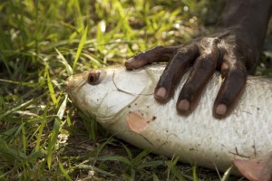 Put me back - Falta, India (2012)